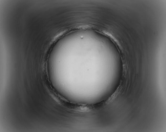 X0000086780159200705041535