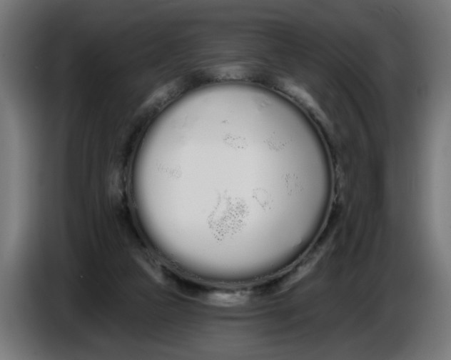 X0000086780161200705041535