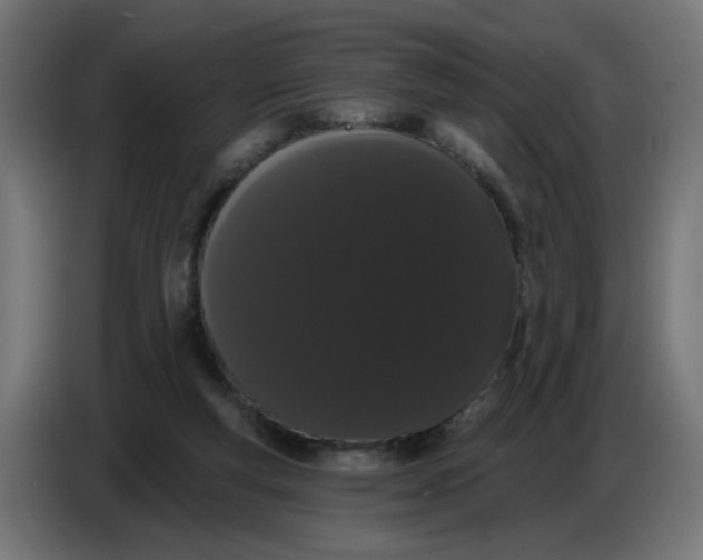 X0000086780163200705041535