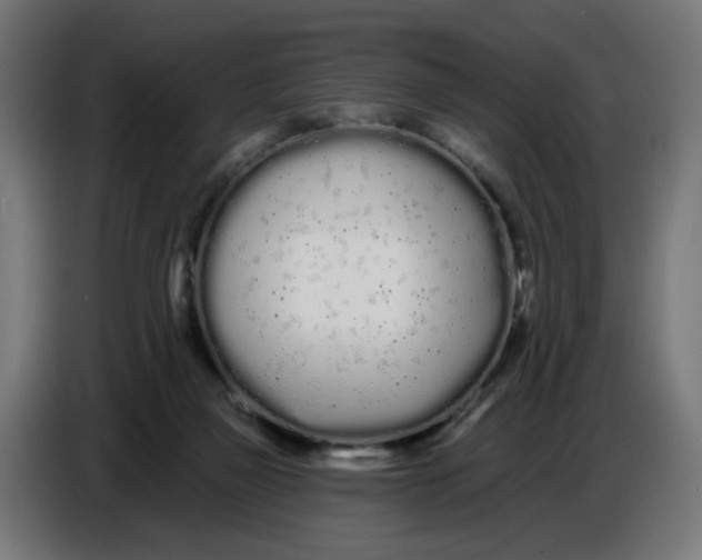 X0000086780165200705041535