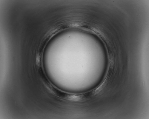 X0000086780166200705041535