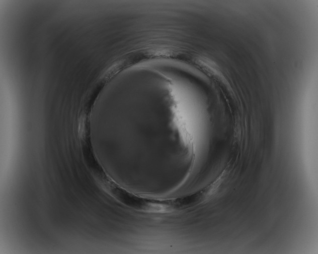 X0000086780167200705041535