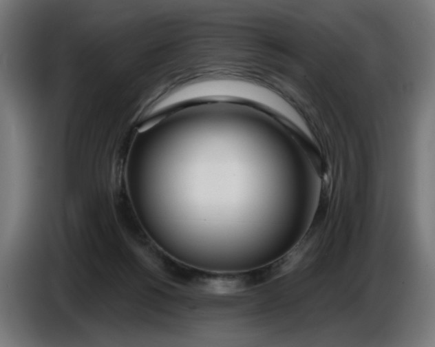 X0000086780168200705041535