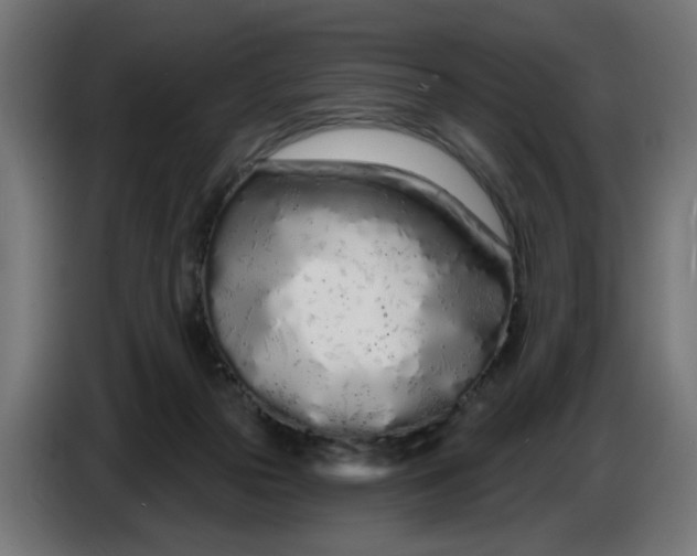 X0000086780169200705041535