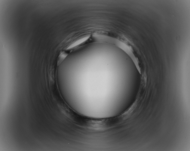 X0000086780170200705041535