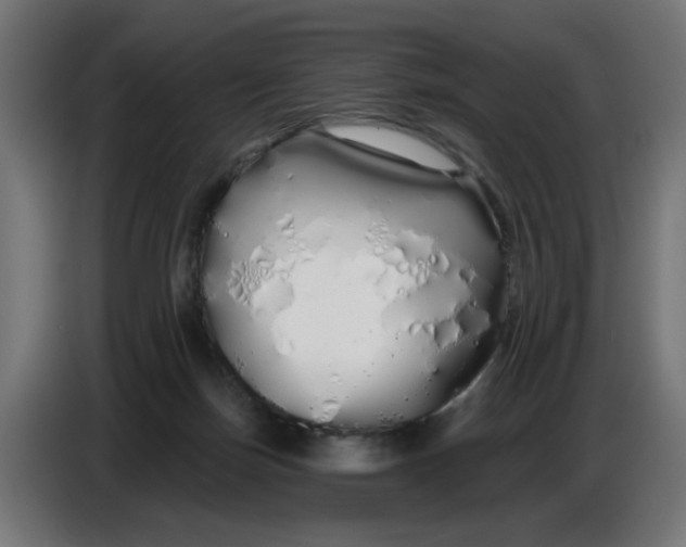 X0000086780171200705041535