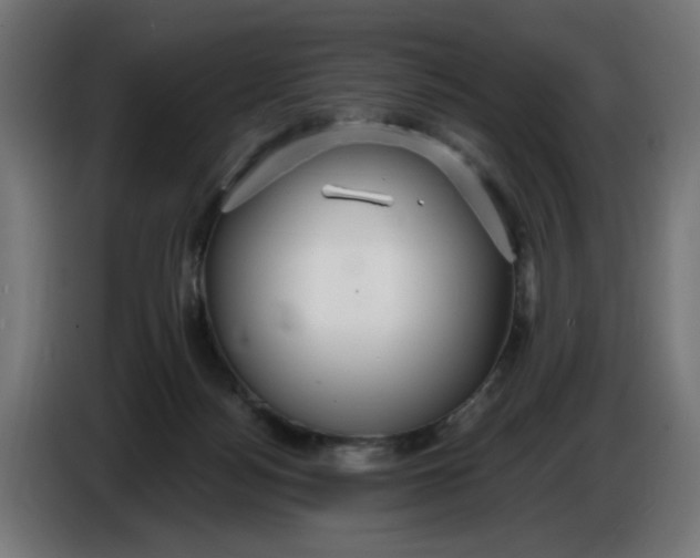 X0000086780172200705041535