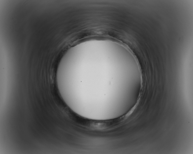 X0000086780174200705041535