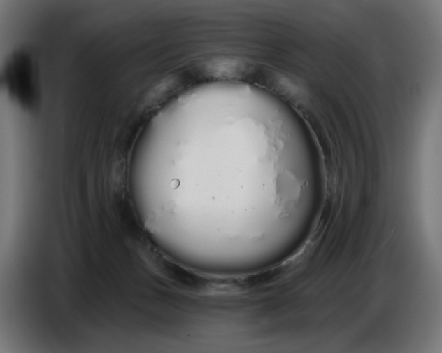 X0000086780175200705041535