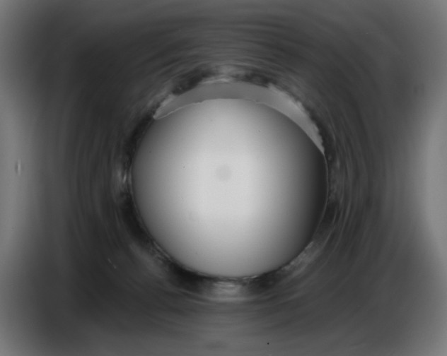 X0000086780176200705041535