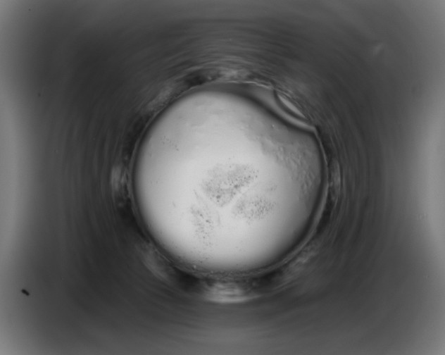 X0000086780177200705041535