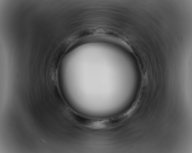 X0000086780178200705041535