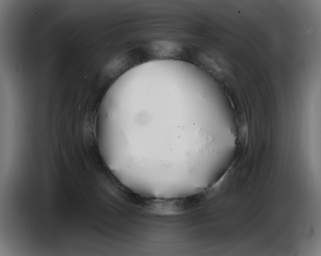 X0000086780179200705041535