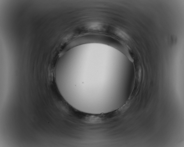 X0000086780180200705041535