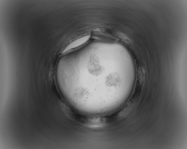 X0000086780181200705041535