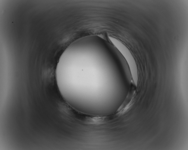 X0000086780184200705041535