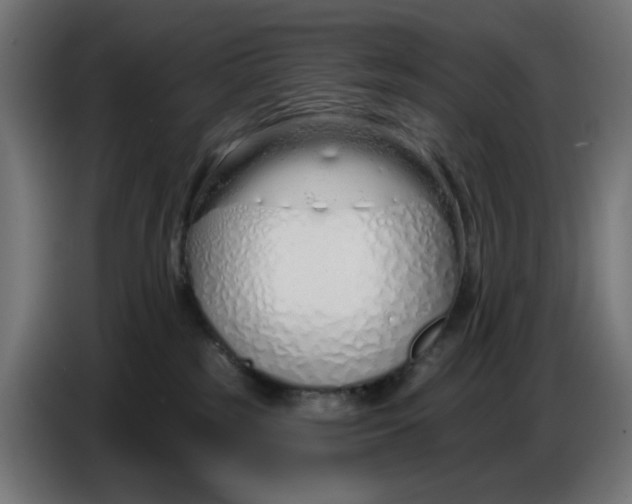 X0000086780185200705041535