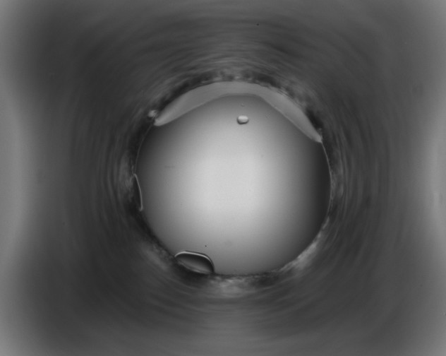 X0000086780186200705041535