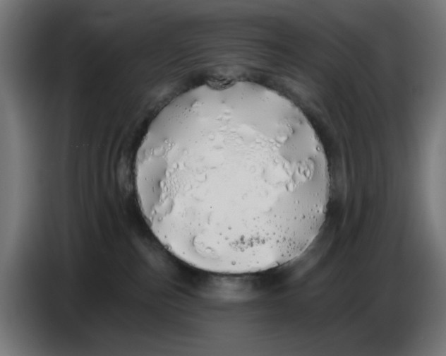 X0000086780187200705041535