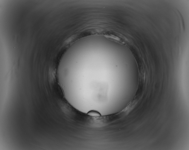 X0000086780188200705041535