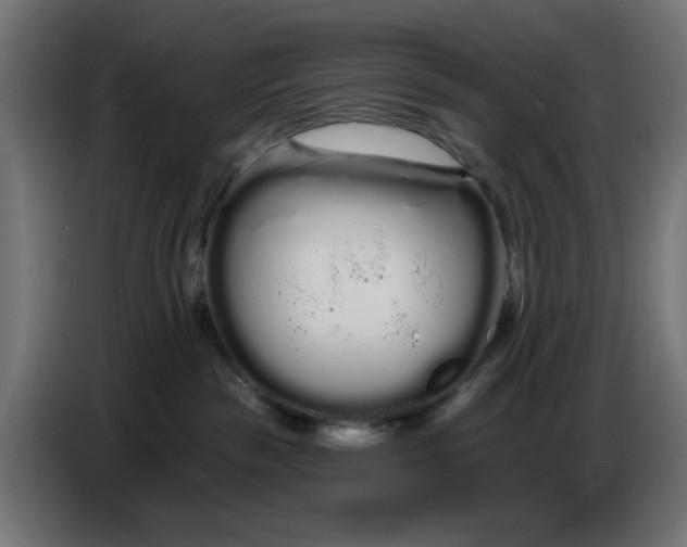 X0000086780189200705041535