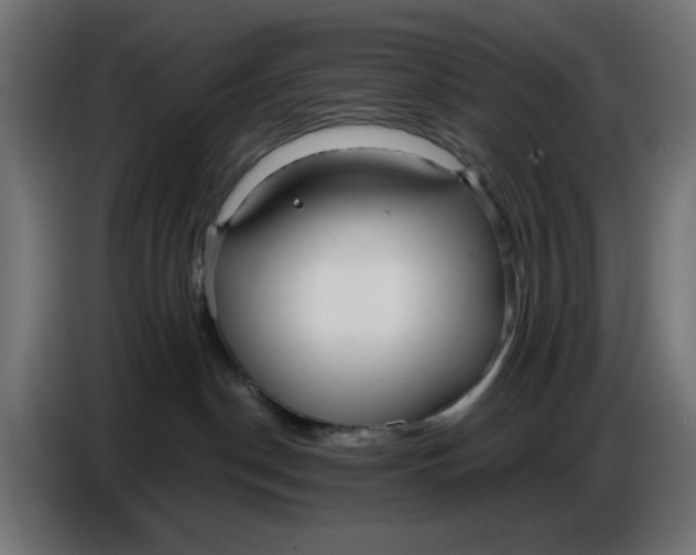 X0000086780190200705041535