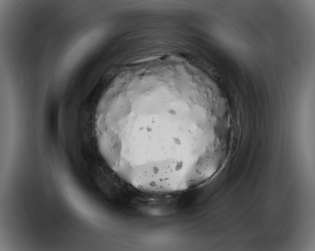 X0000086780191200705041535