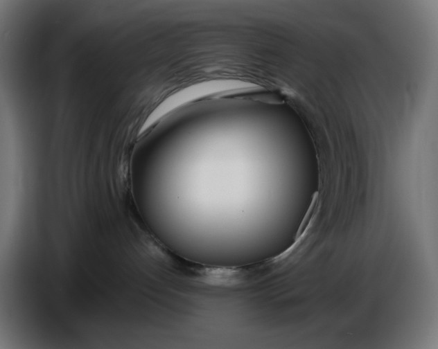 X0000086780192200705041535