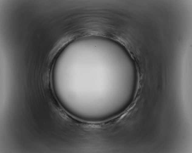 X0000086780194200705041535