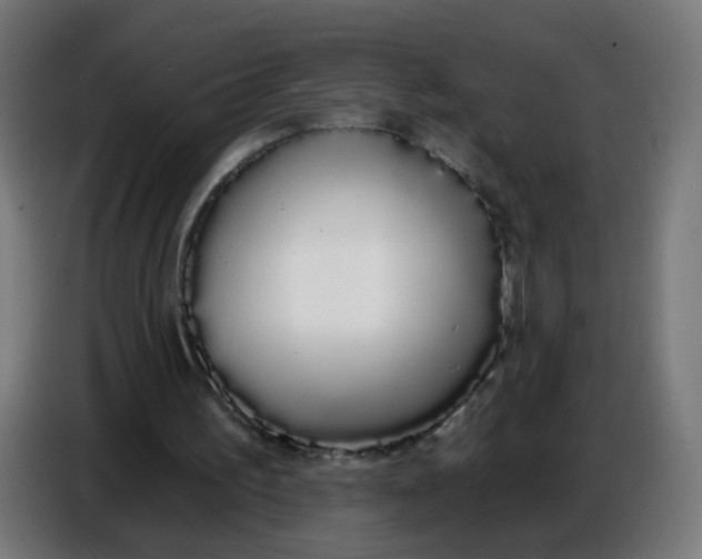 X0000086780195200705041535