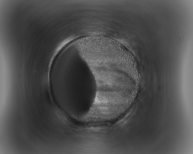 X0000086780196200705041535