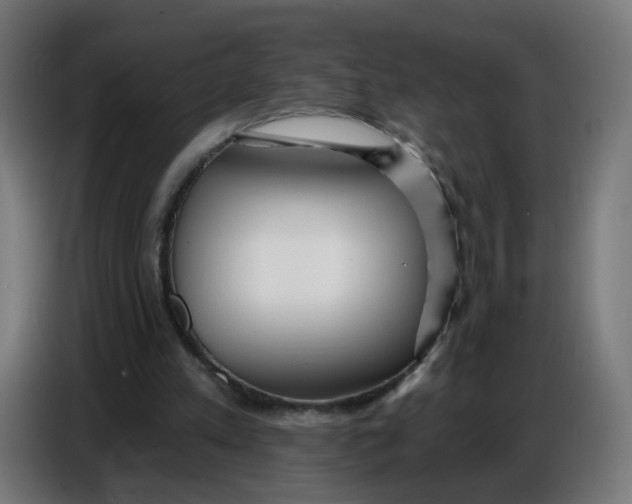 X0000086780197200705041535