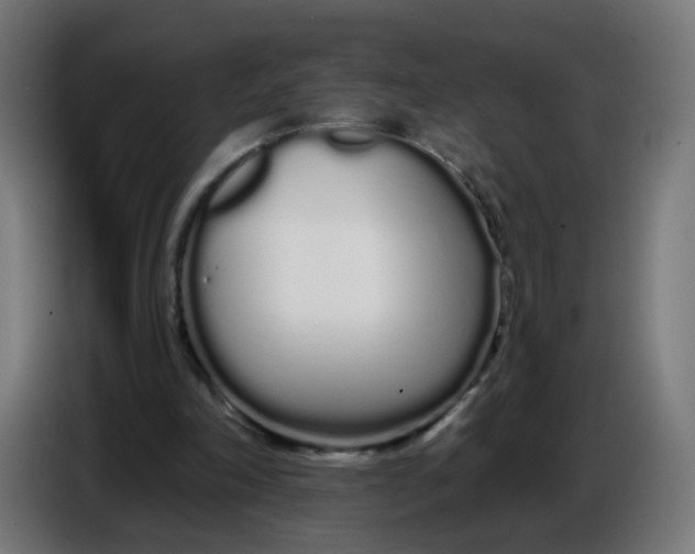 X0000086780198200705041535