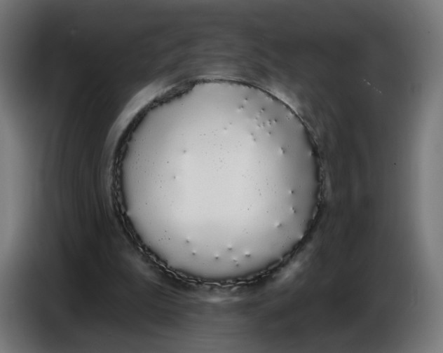 X0000086780199200705041535