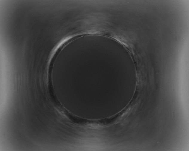 X0000086780200200705041535