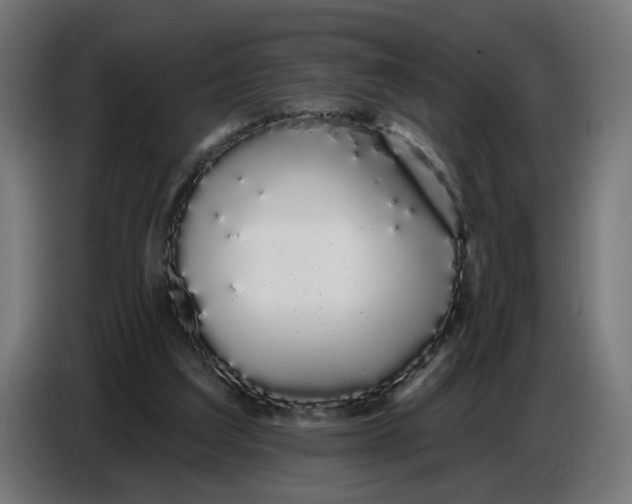 X0000086780203200705041535