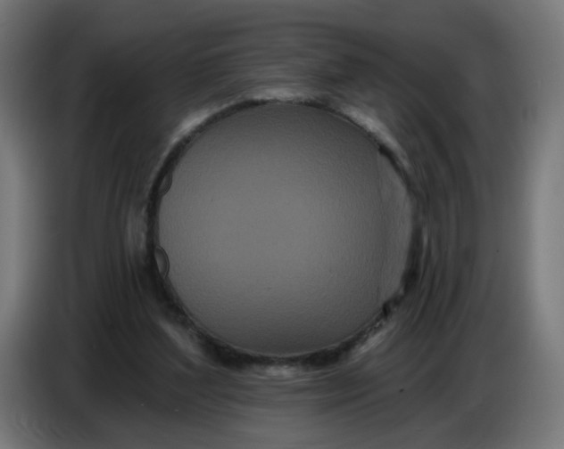 X0000086780204200705041535