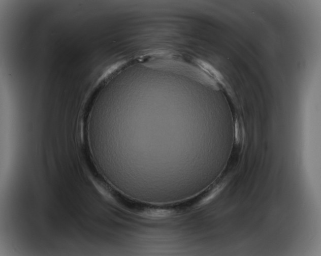 X0000086780205200705041535