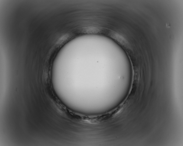 X0000086780206200705041534