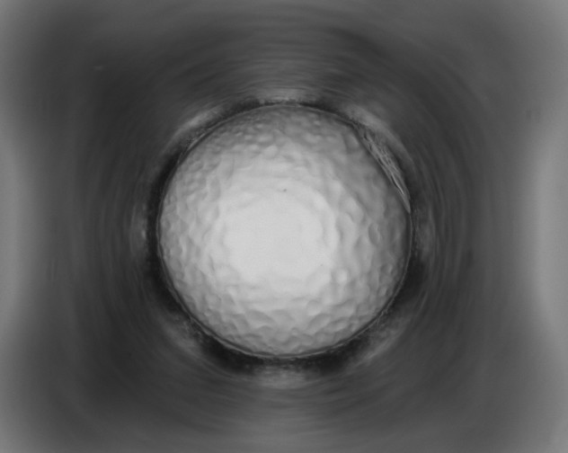 X0000086780207200705041534