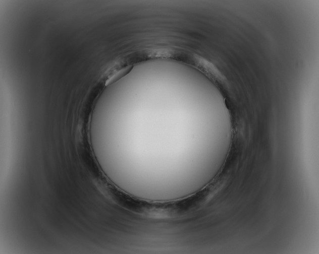 X0000086780209200705041534