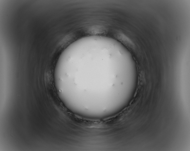 X0000086780210200705041534