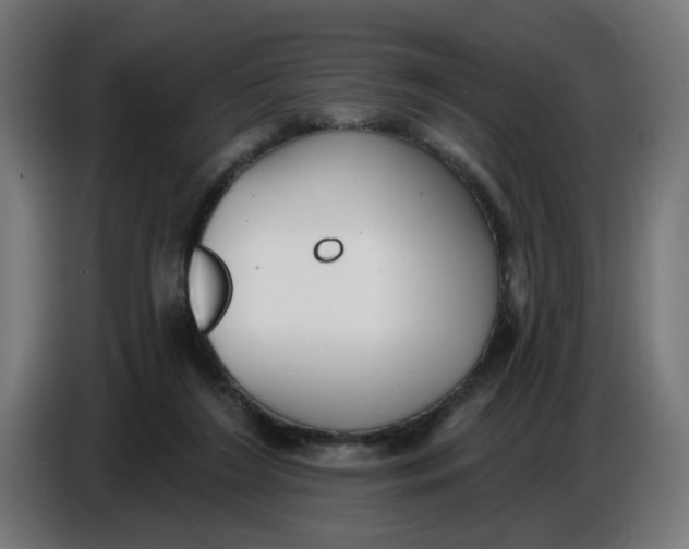 X0000086780212200705041534