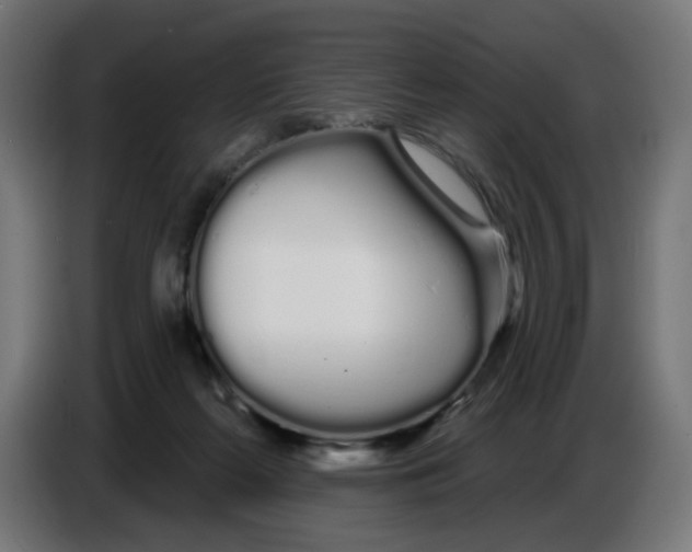 X0000086780214200705041534