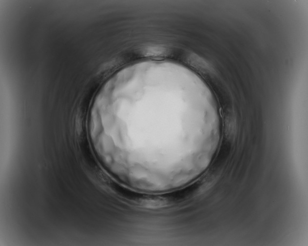 X0000086780215200705041534