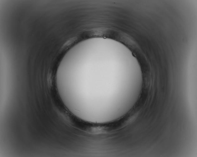 X0000086780216200705041534