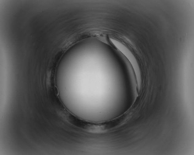 X0000086780217200705041534