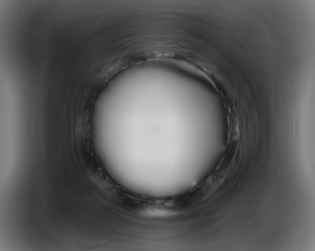 X0000086780218200705041534