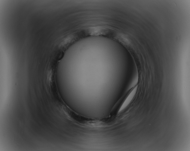 X0000086780219200705041534