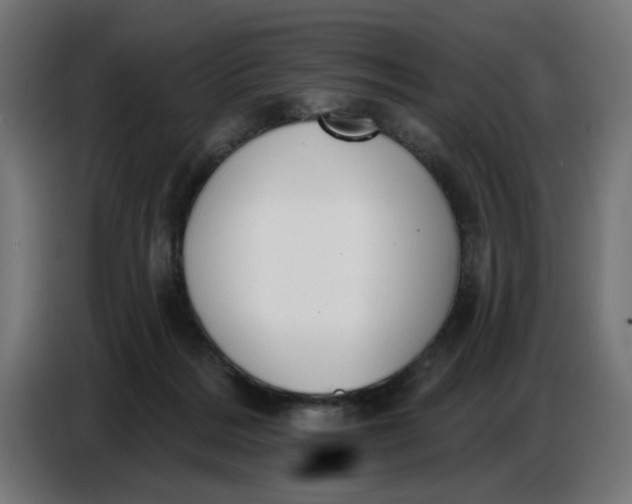 X0000086780220200705041534